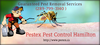Pestex Pest Control Hamilton Offer Services Image